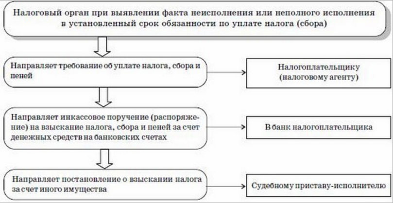 Порядок взыскания налогов и штрафов с организаций