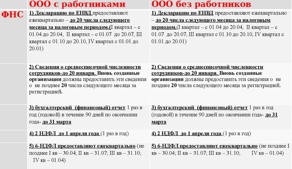ооо на енвд какие отчеты сдавать ооо на енвд какие отчеты сдавать