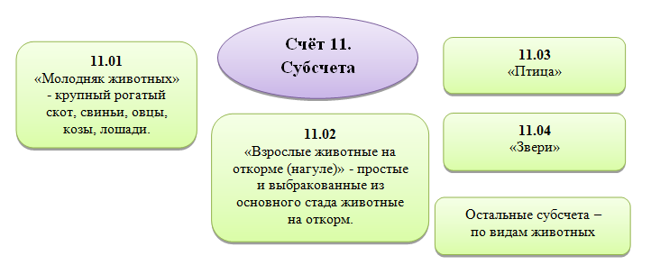 Субсчета 11 счета