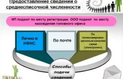 Как сдать отчет о среднесписочной численности Как сдать отчет о среднесписочной численности