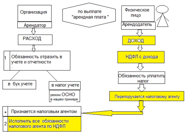 экономические последствия по договору аренды с физическим лицом экономические последствия по договору аренды с физическим лицом