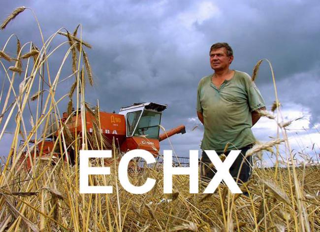 сельхозналог сельхозналог