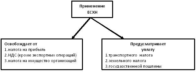 уплата налогов при ЕСХН уплата налогов при ЕСХН