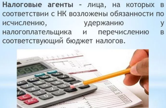 6 ндфл кто сдает 6 ндфл кто сдает